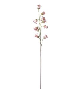 Blåklocka - Rosa - 85 cm - www.frokenfraken.se