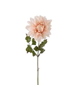 Dahlia - Rosa - 45 cm - www.frokenfraken.se