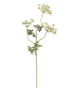 Flockblomma - Hvit - 70 cm - www.frokenfraken.se