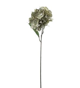 Hortensia - Grønn - 60 cm - www.frokenfraken.se
