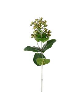 Hypericum - Grønn - 68 cm - www.frokenfraken.se