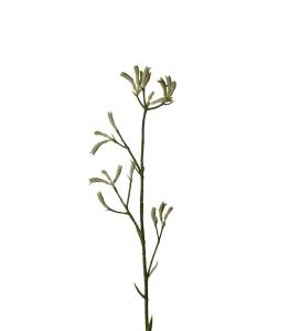 Kængurutass - Grønn - 78 cm - www.frokenfraken.se