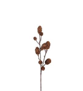 Kvist med kongler - Brun - 70 cm - www.frokenfraken.se
