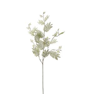 Mimosakvist - Grønn - 110 cm - www.frokenfraken.se