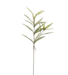 Ormbunke - Grønn - 95 cm - www.frokenfraken.se