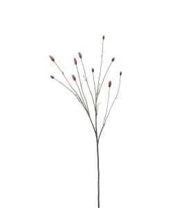 Pimpinell - Orange - 80 cm - www.frokenfraken.se