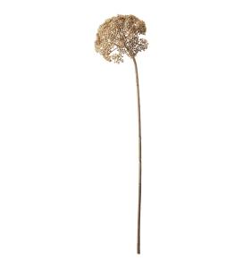 Røllika - Beige - 80 cm - www.frokenfraken.se