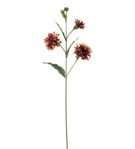 Rudbeckia - Flerfærgad - 80 cm - www.frokenfraken.se