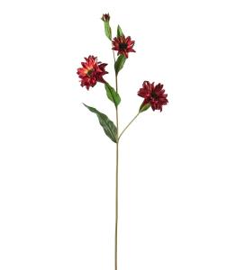 Rudbeckia - Rød - 80 cm - www.frokenfraken.se