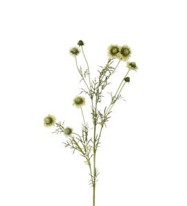 Scabiosa - Grønn - 120 cm - www.frokenfraken.se