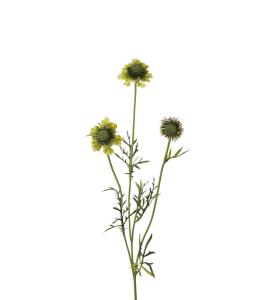 Scabiosa - Grønn - 64 cm - www.frokenfraken.se
