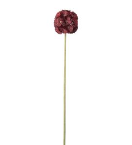 Scabiosa - Rød - 60 cm - www.frokenfraken.se