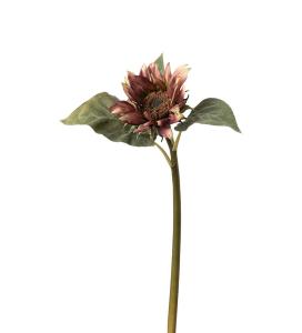 Solros - Lilla - 50 cm - www.frokenfraken.se