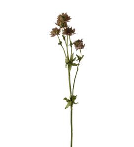 Stjærnflocka - Rosa - 55 cm - www.frokenfraken.se