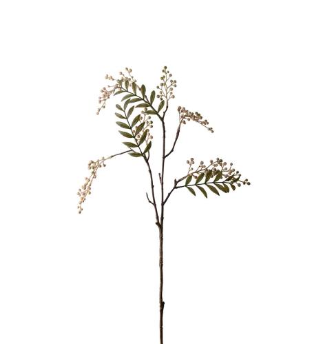 Bærkvist - Cream - 70 cm - www.frokenfraken.se