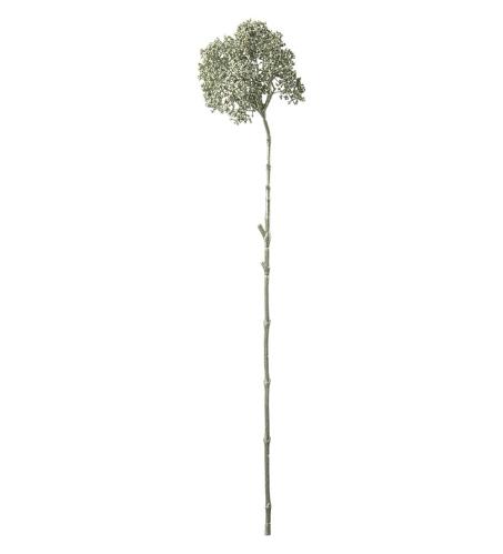 Bærkvist - Grønn - 74 cm - www.frokenfraken.se
