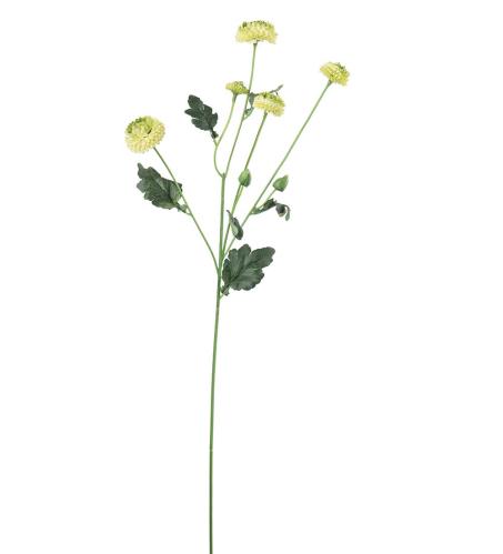 Chrysanthemum - Grønn - 60 cm - www.frokenfraken.se