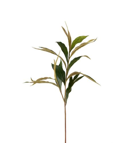 Grevilleakvist - Grønn - 85 cm - www.frokenfraken.se