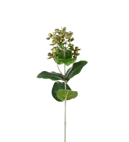 Hypericum - Grønn - 68 cm - www.frokenfraken.se