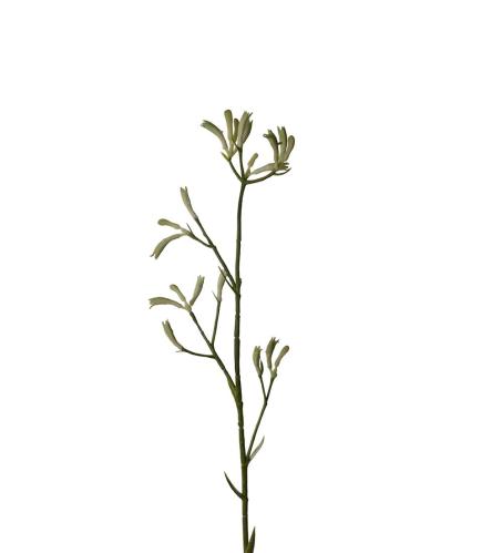 Kængurutass - Grønn - 78 cm - www.frokenfraken.se