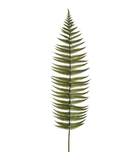 Ormbunksblad - Grønn - 105 cm - www.frokenfraken.se