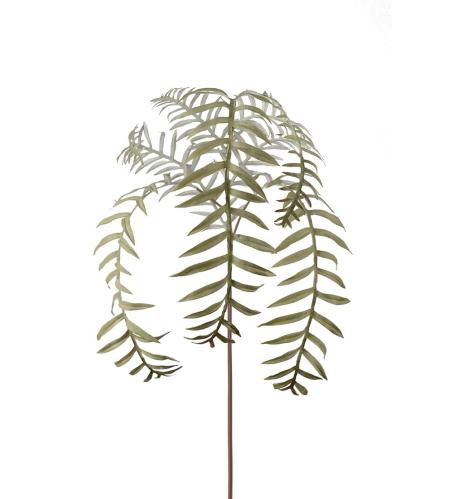 Ormbunksblad - Grønn - 50 cm - www.frokenfraken.se