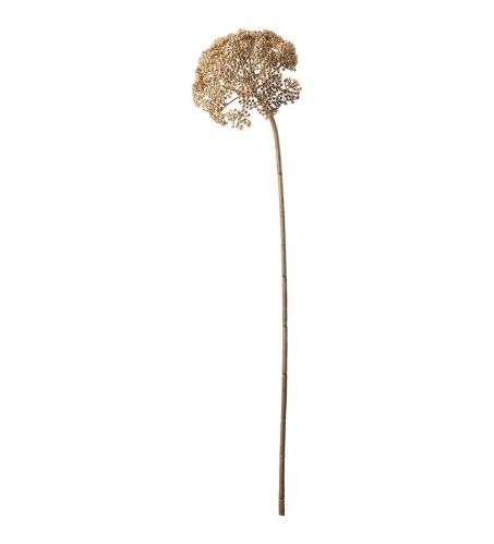 Røllika - Beige - 80 cm - www.frokenfraken.se