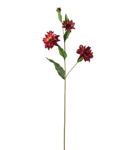 Rudbeckia - Rød - 80 cm - www.frokenfraken.se