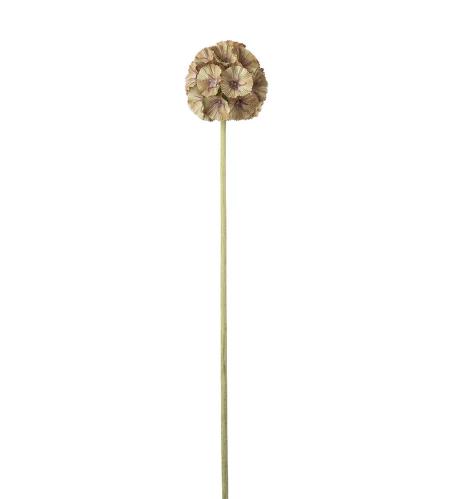Scabiosa - Grønn - 60 cm - www.frokenfraken.se