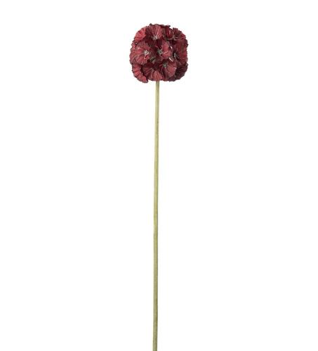 Scabiosa - Rød - 60 cm - www.frokenfraken.se