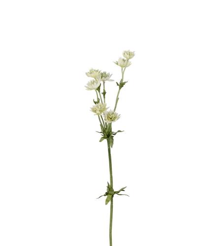 Stjærnflocka - Grønn - 55 cm - www.frokenfraken.se