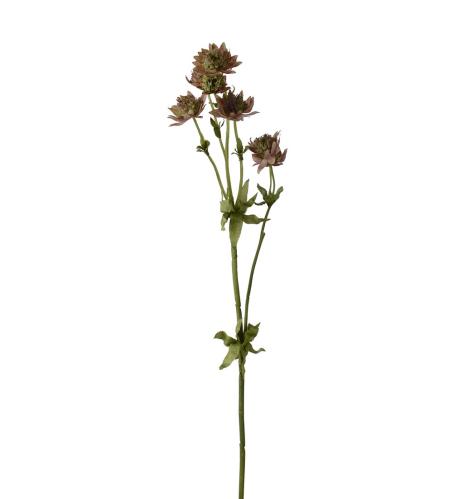 Stjærnflocka - Rosa - 55 cm - www.frokenfraken.se