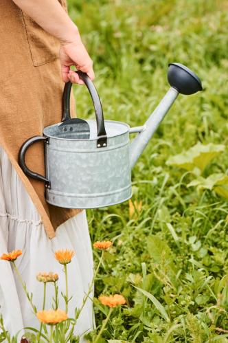 Vannkanne - Sink - 4,4 liter - www.frokenfraken.se