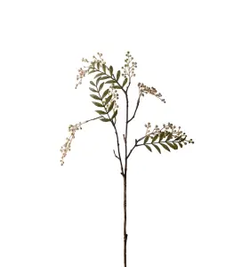Bærkvist - Cream - 70 cm - www.frokenfraken.se