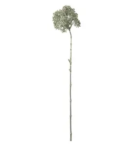 Bærkvist - Grønn - 74 cm - www.frokenfraken.se