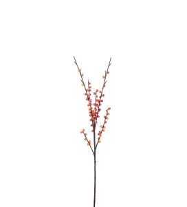 Bærkvist - Orange - 85 cm - www.frokenfraken.se