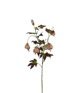 Blomsterlønn - Brun - 83 cm - www.frokenfraken.se