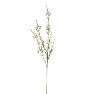 Calluna - Hvit - 63 cm - www.frokenfraken.se
