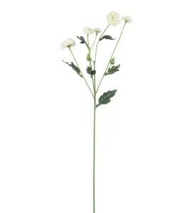 Chrysanthemum - Hvit - 60 cm - www.frokenfraken.se