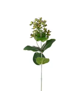 Hypericum - Grønn - 68 cm - www.frokenfraken.se