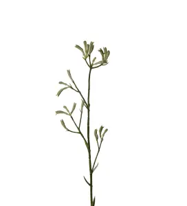 Kængurutass - Grønn - 78 cm - www.frokenfraken.se