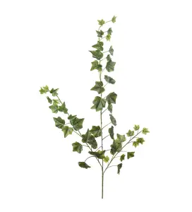 Murgrøna - Grønn - www.frokenfraken.se