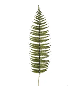 Ormbunksblad - Grønn - 105 cm - www.frokenfraken.se