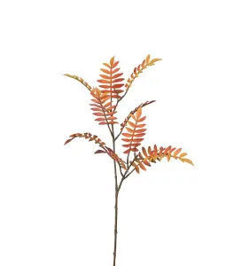 Rønn - Orange - 60 cm - www.frokenfraken.se