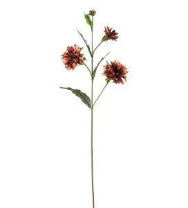Rudbeckia - Flerfærgad - 80 cm - www.frokenfraken.se