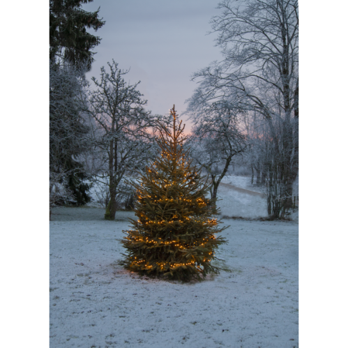 Lyslenke - Gullvarm Hvit - 24 m - www.frokenfraken.se