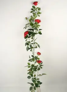 Rosgirlang - Rød - Royal Rose - 147 cm - www.frokenfraken.se