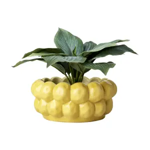 Krukke/Skål - Gule bobler - Ø22 x 10 cm - www.frokenfraken.se