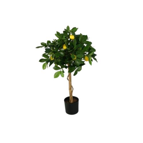 Citrusträd - Citron - Konstväxt - 110 cm - www.frokenfraken.se