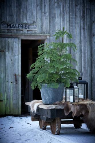 Lyslykt – Matt svart – 30 cm - www.frokenfraken.se